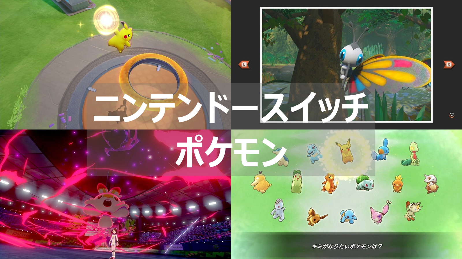 スイッチ　ポケモン