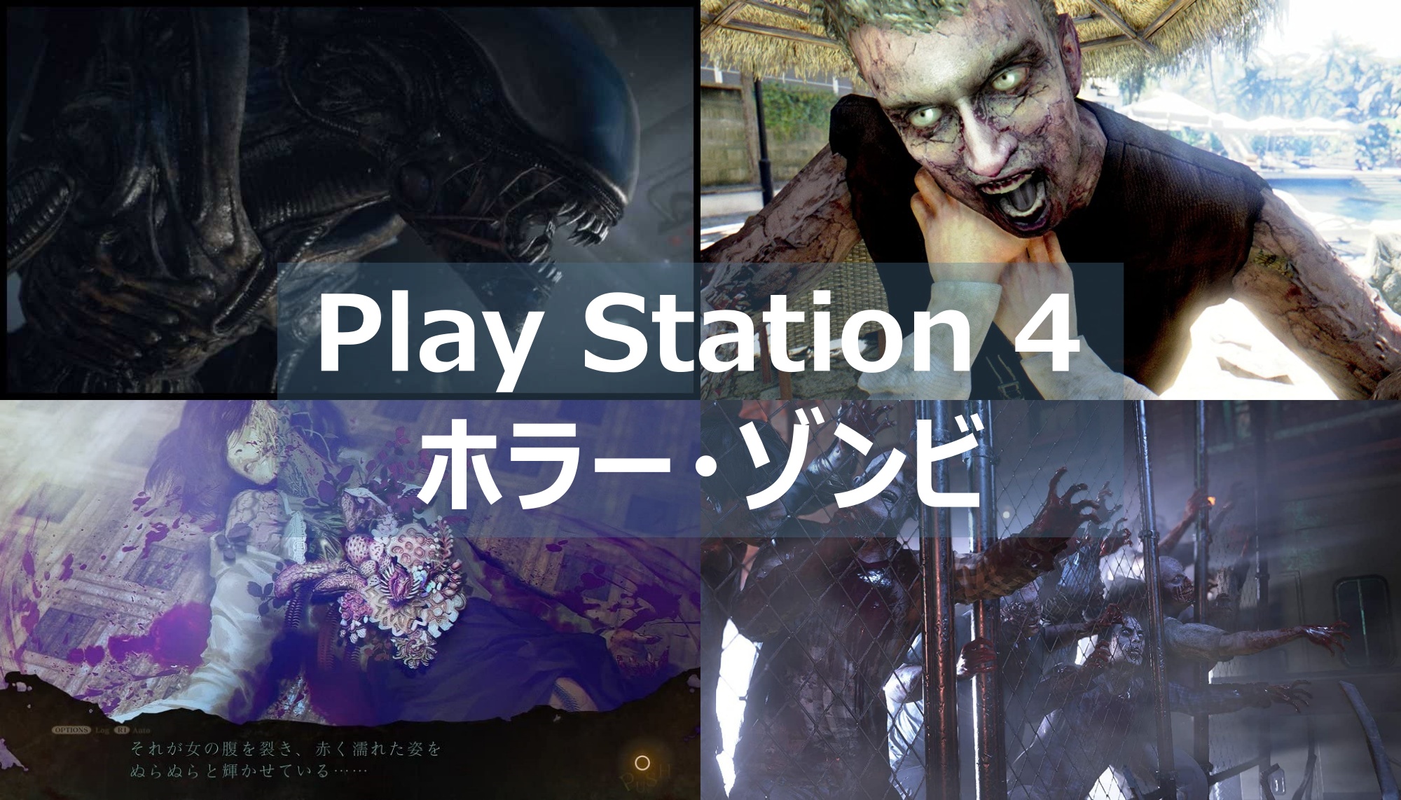 ps4 ホラゲーソフト4本セット ホラーゲーム セット PS4