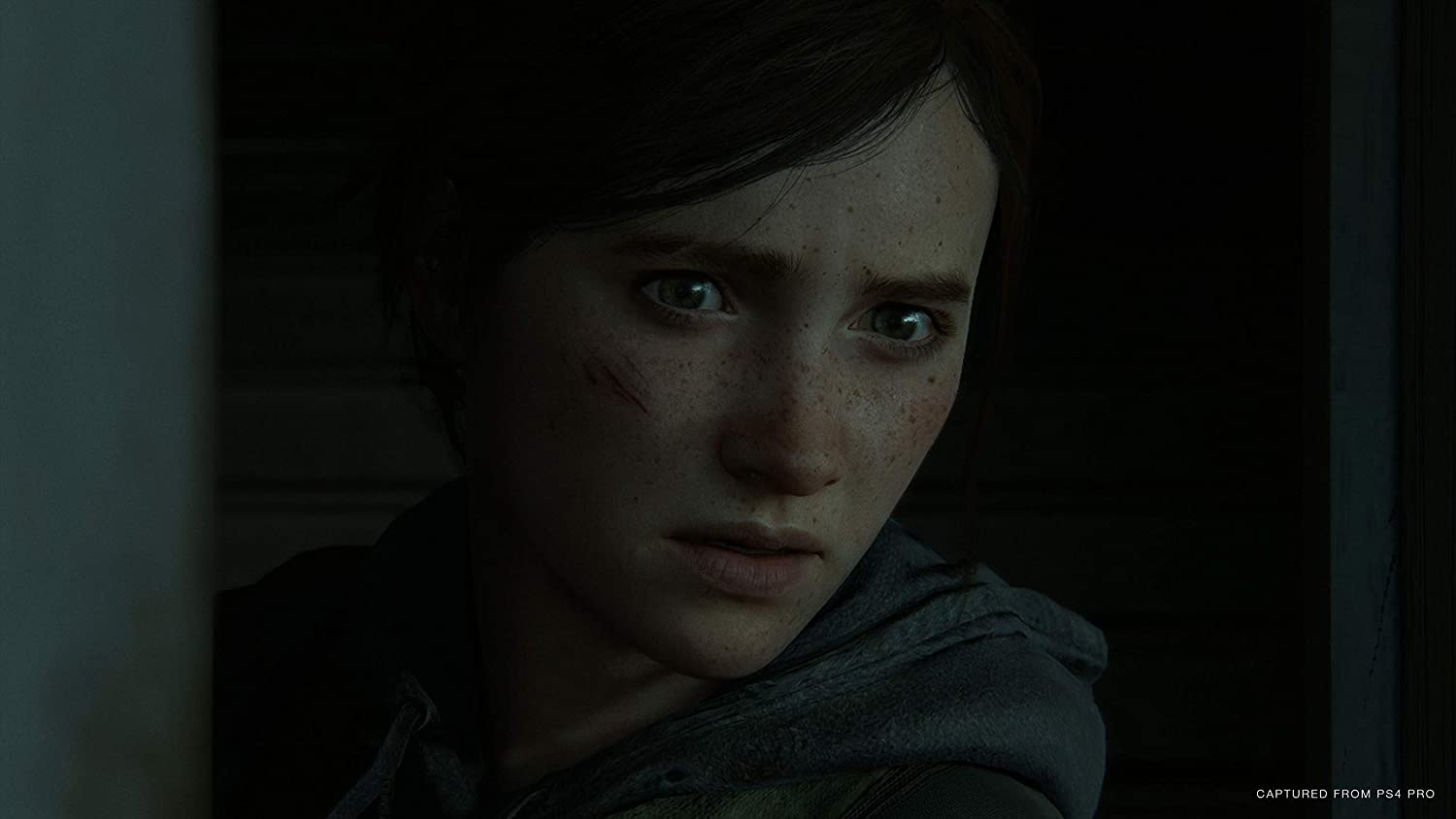 The Last of Us Part Ⅱ