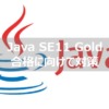 java se11 gold