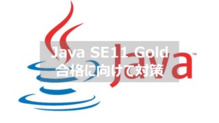 java se11 gold